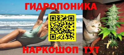 меф Мариинск